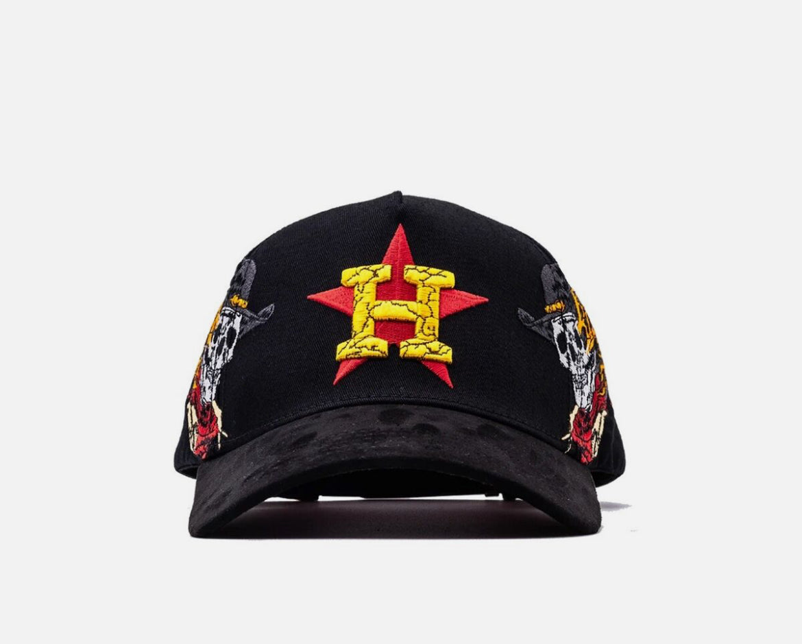 Houston Astros