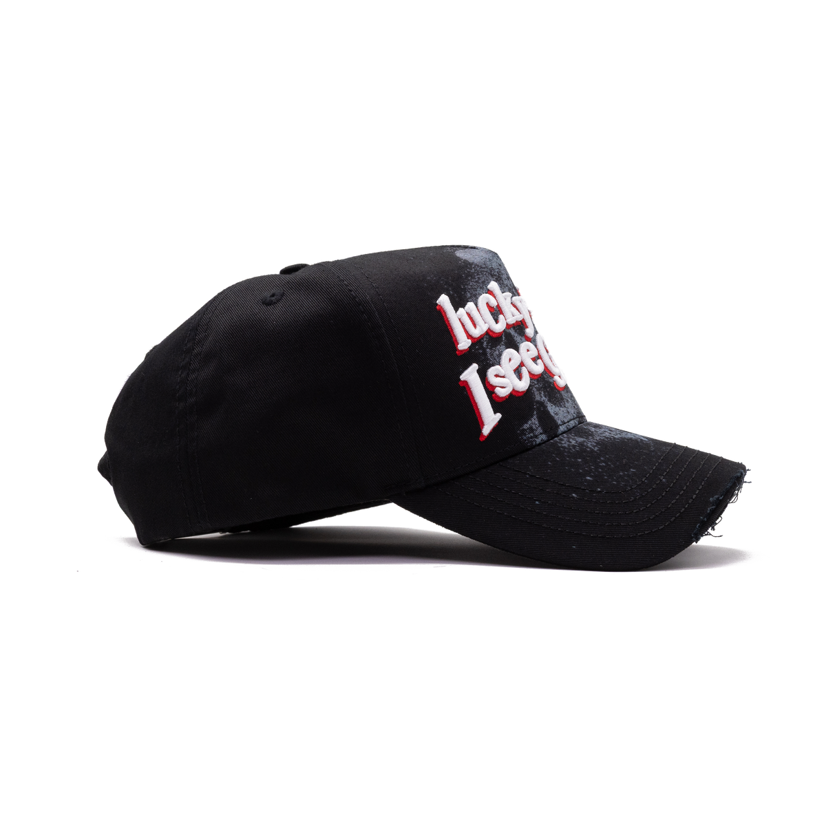 Lucky Me I See Ghosts